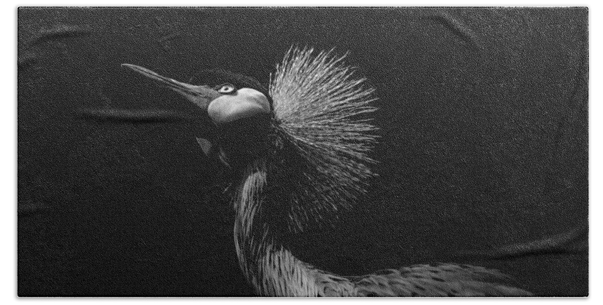 Black Beach Towel featuring the photograph African Crowned Crane in Black and White by Carolyn Hutchins
