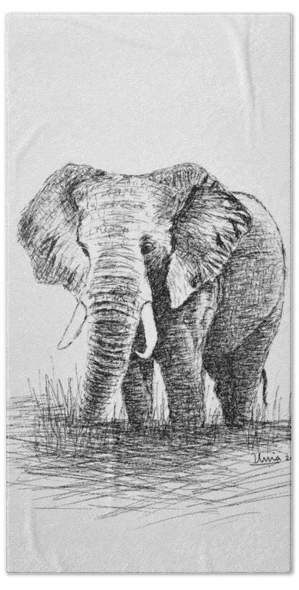 African Elephant Beach Towel featuring the drawing African Elephant by Uma Krishnamoorthy