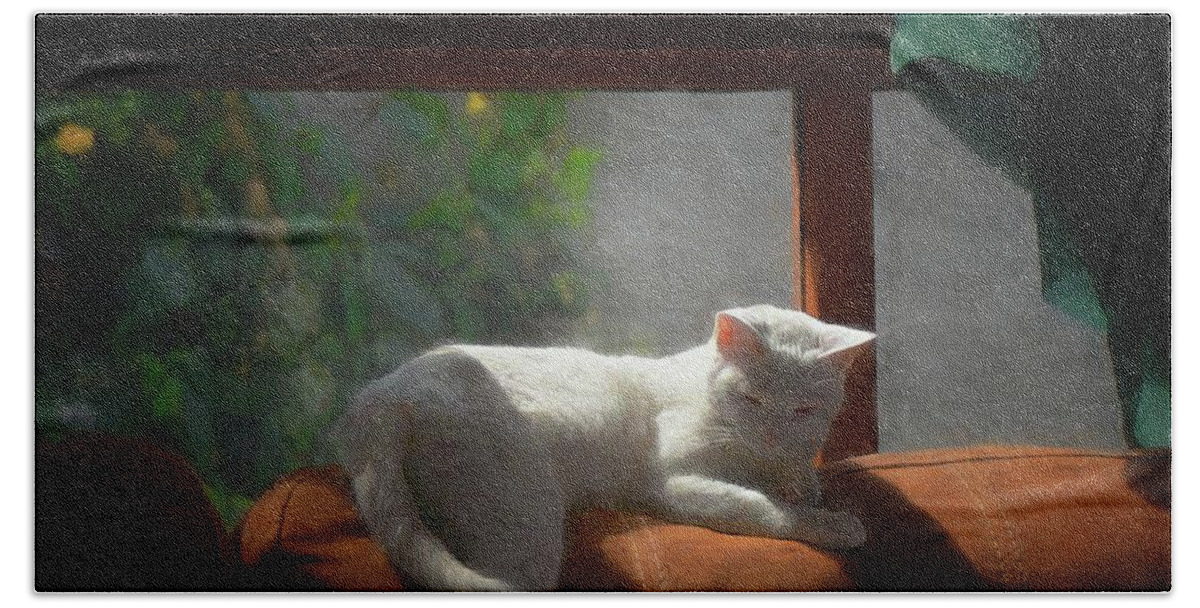 Cat Beach Towel featuring the photograph Afternoon Snooze by John Kolenberg