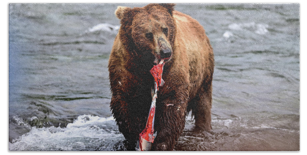Ursus Arctos Gyas Beach Towel featuring the photograph Alaska Brown Bear - Ursus arctos gyas by Amazing Action Photo Video