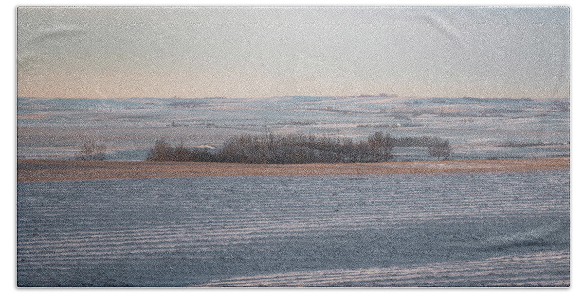 Agriculture Beach Towel featuring the photograph Alberta winter wheat farm landscape by Karen Rispin