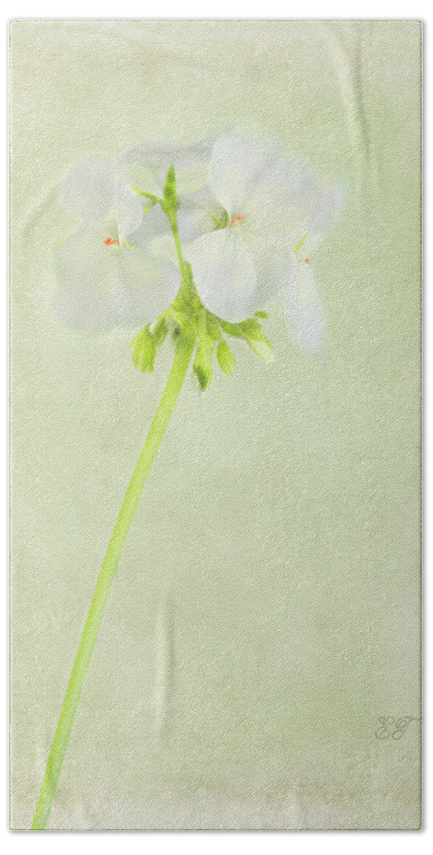 Flowers Beach Towel featuring the photograph White Geranium 2 by Elaine Teague