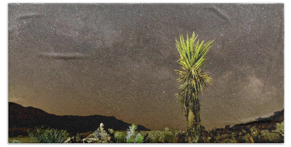 Joshua Tree Beach Towel featuring the photograph All Related by Daniel Hayes