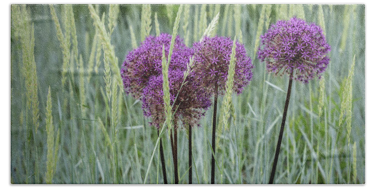 Dow Gardens Beach Towel featuring the photograph Allium in the Weeds by Robert Carter