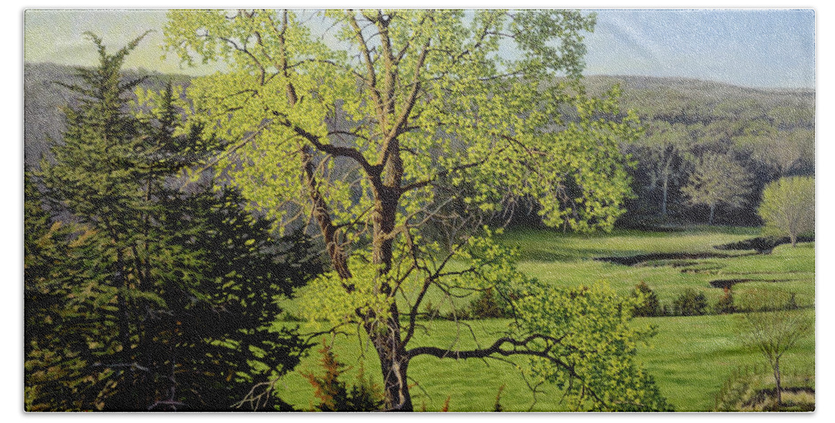 Spring Morning Beach Towel featuring the painting Along the Southeast Corner Fenceline by Bruce Morrison