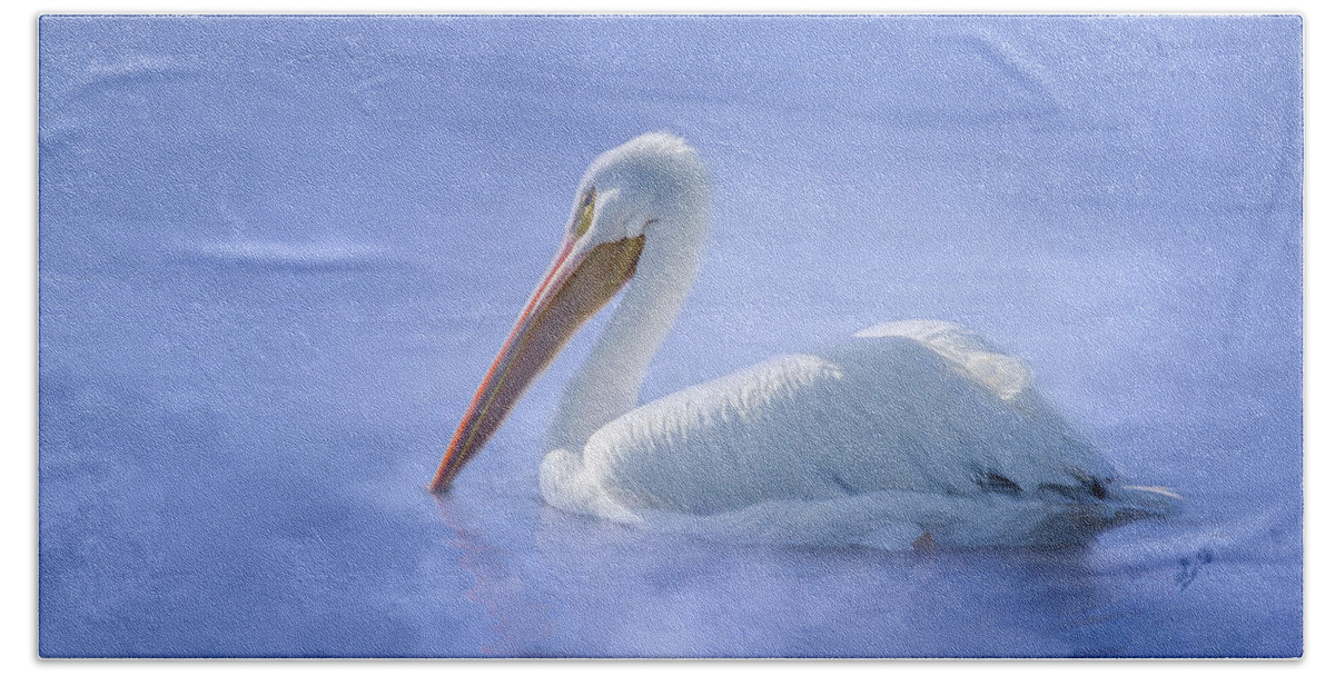 American White Pelican Beach Towel featuring the photograph American White Pelican Daydreaming by Debra Martz