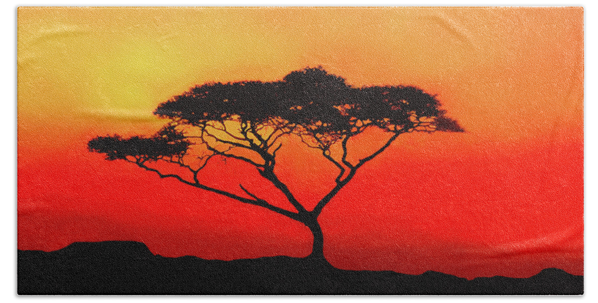 Africa Beach Towel featuring the photograph An Acacia Tree in the Sunset by Mitchell R Grosky