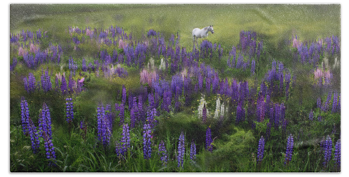 White Beach Towel featuring the photograph An Arabian Dream in a Field of Lupine by Wayne King