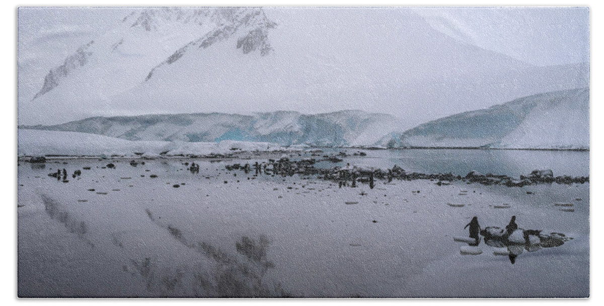 Penguins Beach Towel featuring the photograph Antarctic Reflections by Laura Hedien