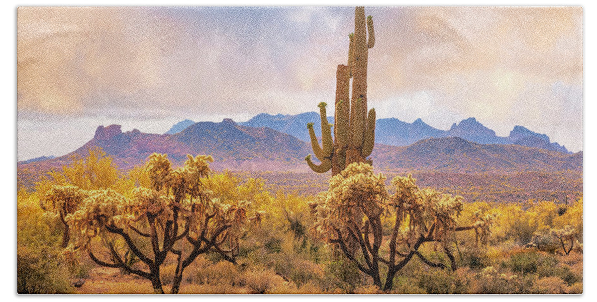 Cactus Beach Sheet featuring the photograph Arizona desert by Giovanni Allievi