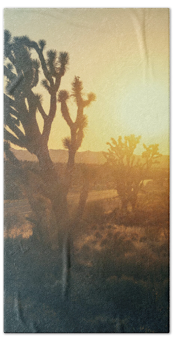 Joshua Tree Beach Towel featuring the photograph Arizona Mohave by Ray Devlin