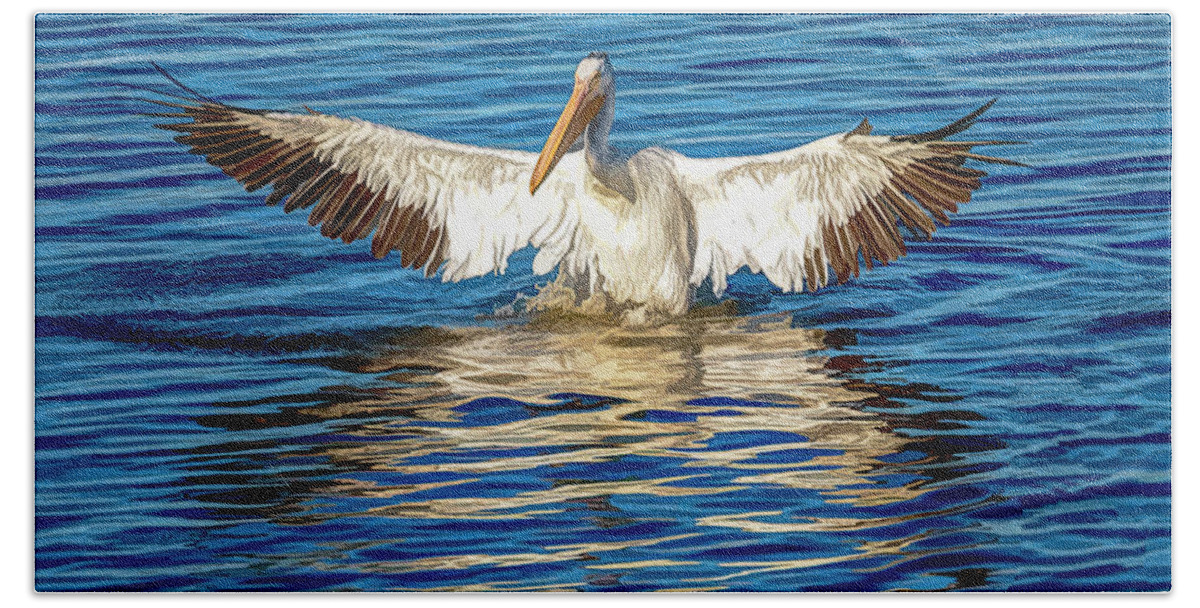 American White Pelican Beach Towel featuring the photograph Arriving A Bit Weathered and Worn by Debra Martz