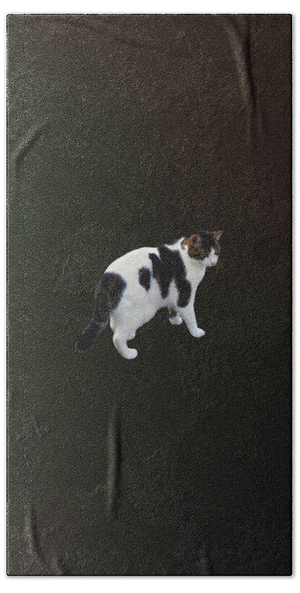 Cat Beach Towel featuring the photograph White Tabby With Dark Patches by Susan Savad