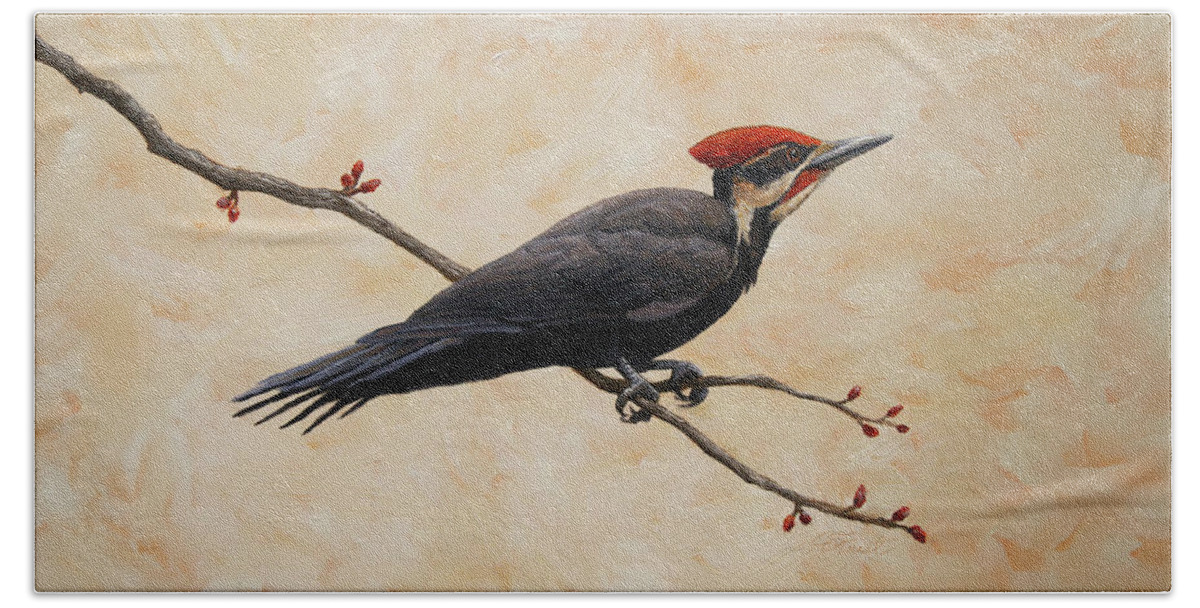 Bird Beach Towel featuring the painting Pileated Woodpecker by Crista Forest