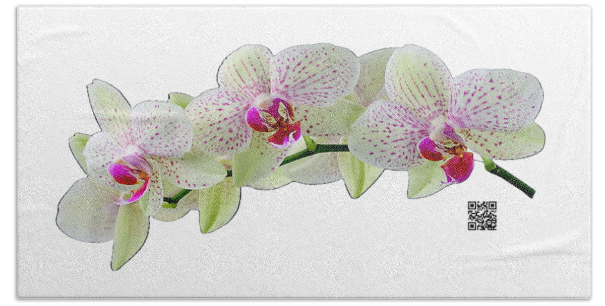 Orchids Beach Towel featuring the mixed media As Delicate as You by Rafael Salazar