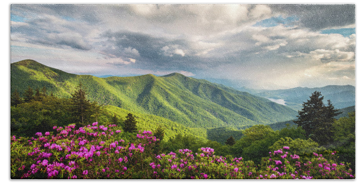 North Carolina Beach Towel featuring the photograph Asheville NC Blue Ridge Parkway Spring Flowers by Dave Allen