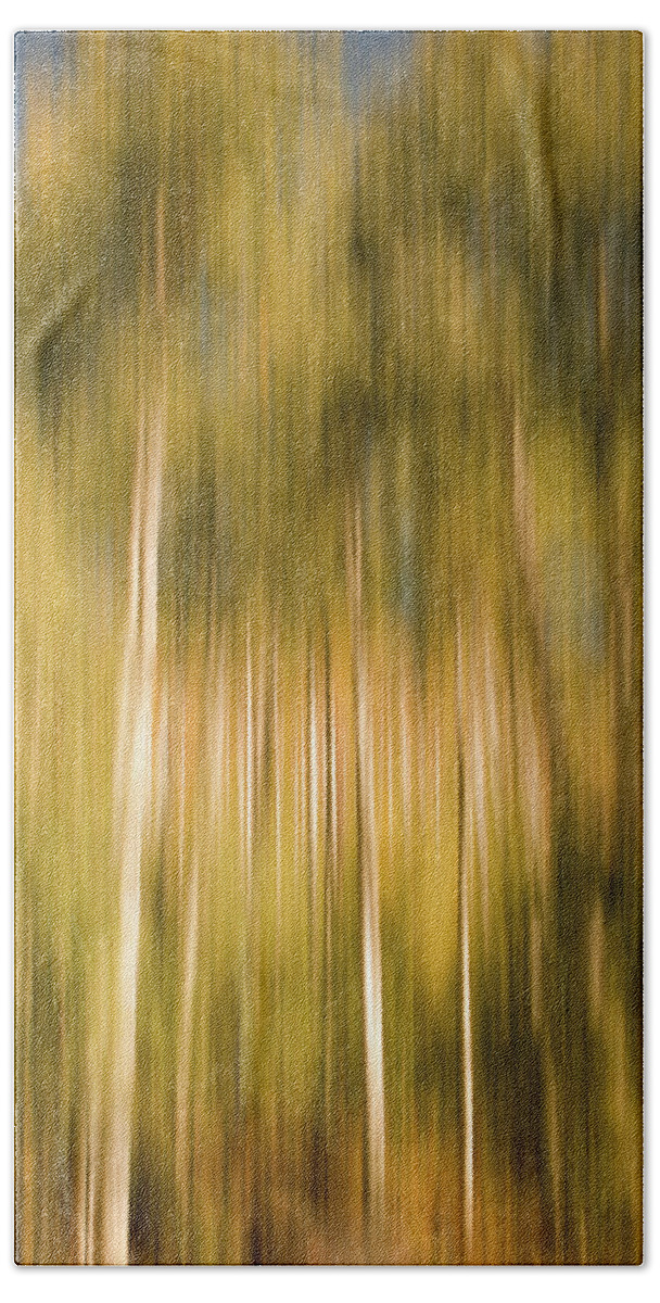 Colorado Beach Towel featuring the photograph Aspens in Motion by Kevin Schwalbe