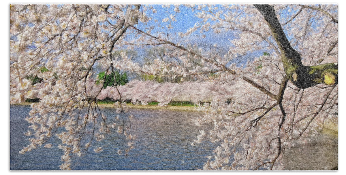 Cherry Blossom Festival Beach Towel featuring the photograph At Peak Bloom by Lois Bryan