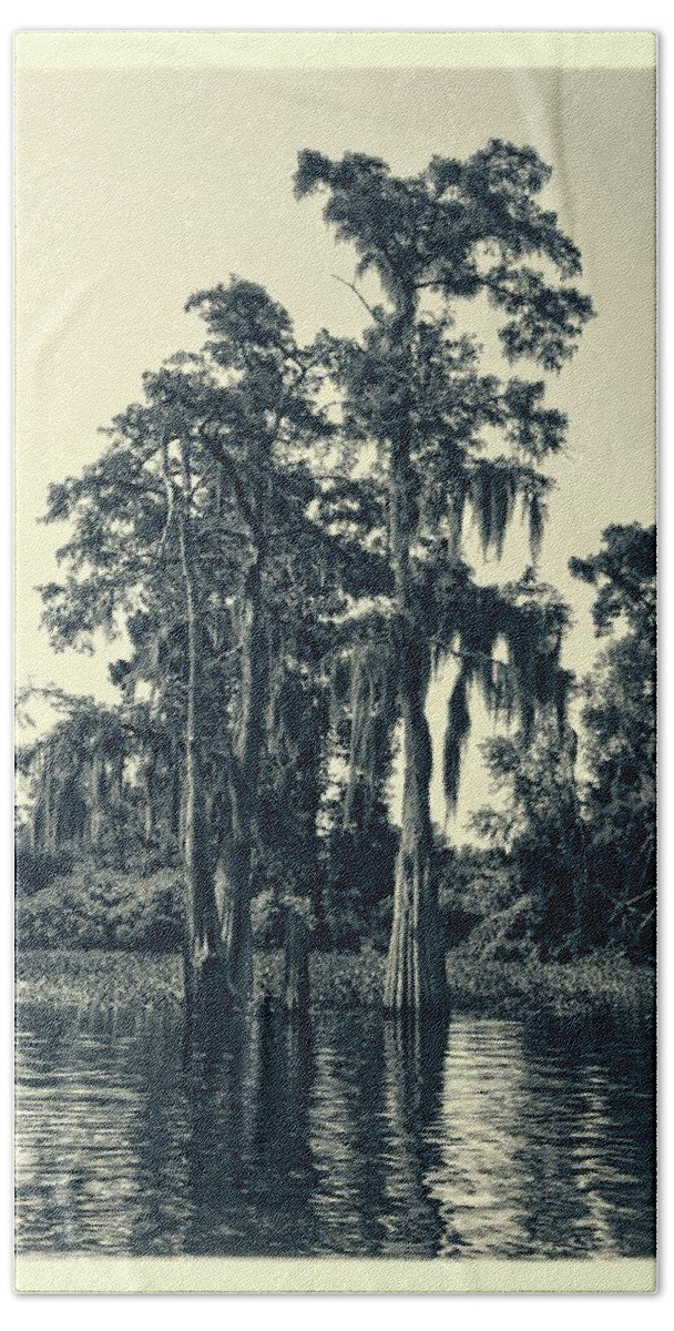 Tree Beach Towel featuring the photograph Atchafalaya Basin Southern Louisiana 2021 Ambrotype 95 by Maggy Marsh