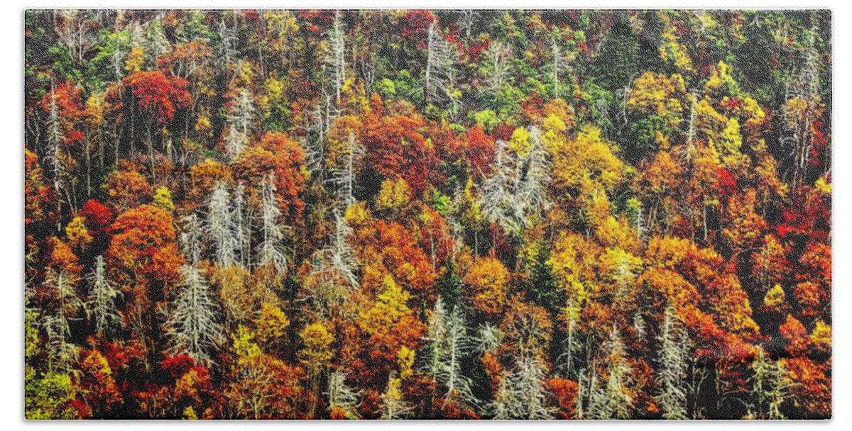 Autumn Beach Towel featuring the photograph Autumn Diversity by Allen Nice-Webb