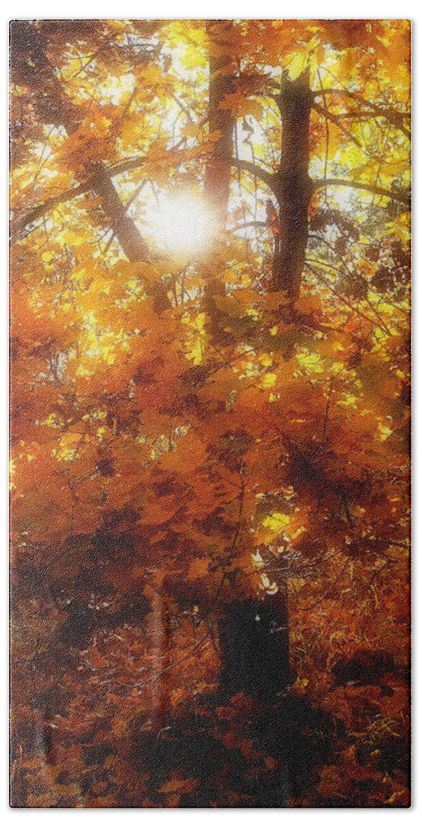 Autumn Beach Towel featuring the photograph Autumn Fire by Linda McRae