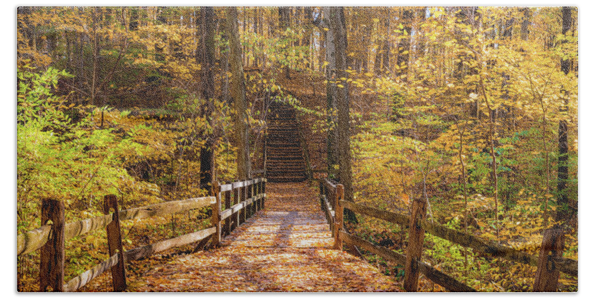 Foliage Beach Towel featuring the photograph Autumn Forest by Arthur Oleary