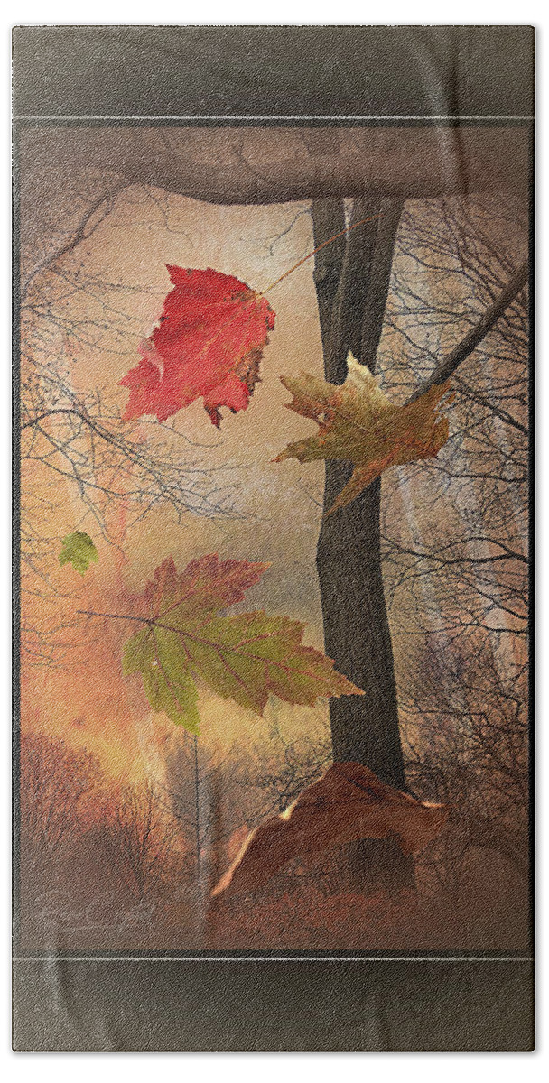 Leaves Beach Towel featuring the photograph Autumn Free Fall by Rene Crystal