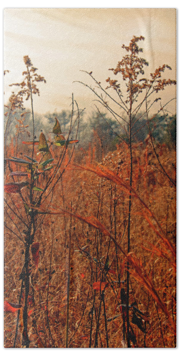 Fall Beach Towel featuring the photograph Autumn Grass by Carolyn Stagger Cokley