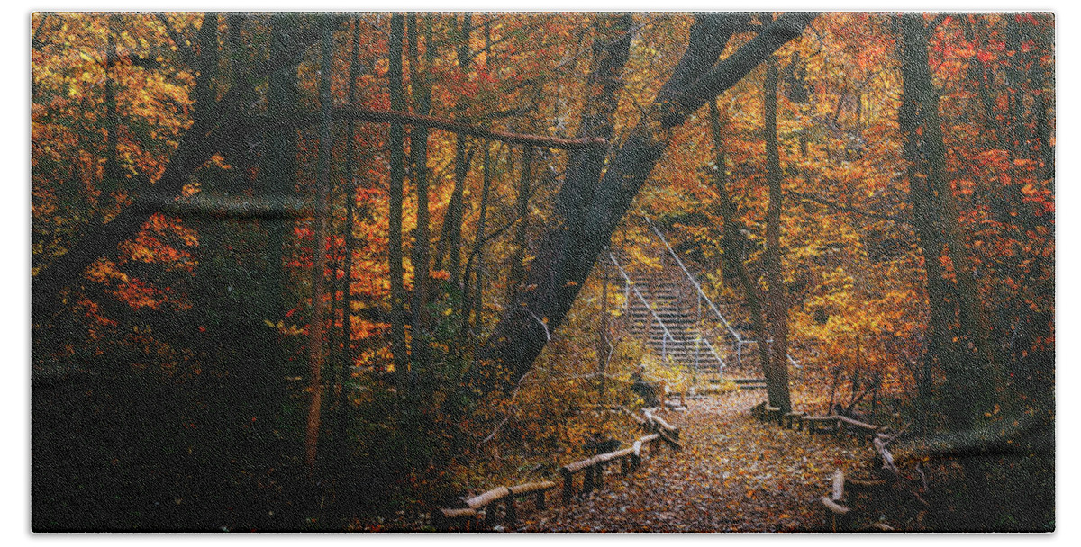 Fall Beach Towel featuring the photograph Autumn in Riverside Park by Scott Norris