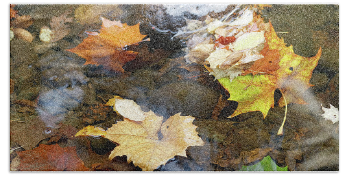 Poconos Beach Towel featuring the photograph Autumn in the Creek by Amelia Pearn