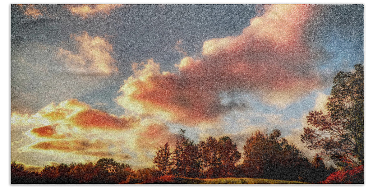 Foliage Beach Towel featuring the photograph Autumn landscape and pink clouds by Lilia S