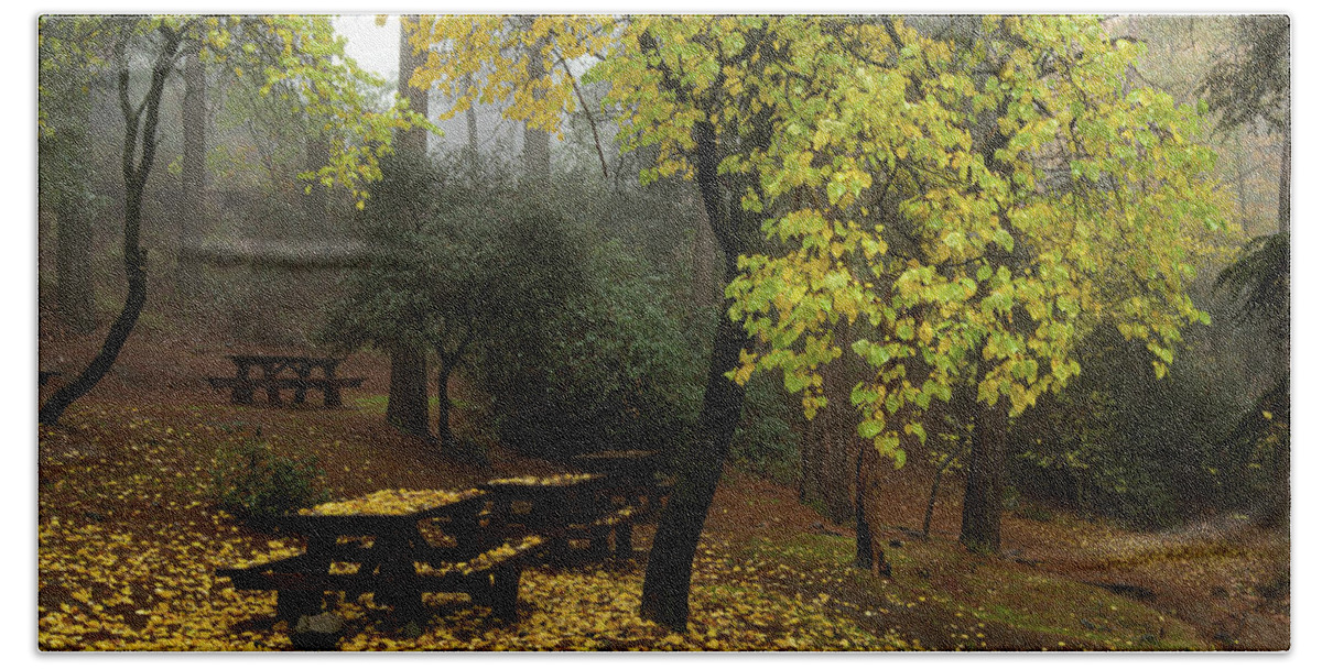 Autumn Beach Towel featuring the photograph Autumn landscape with trees and yellow leaves on the ground after rain by Michalakis Ppalis