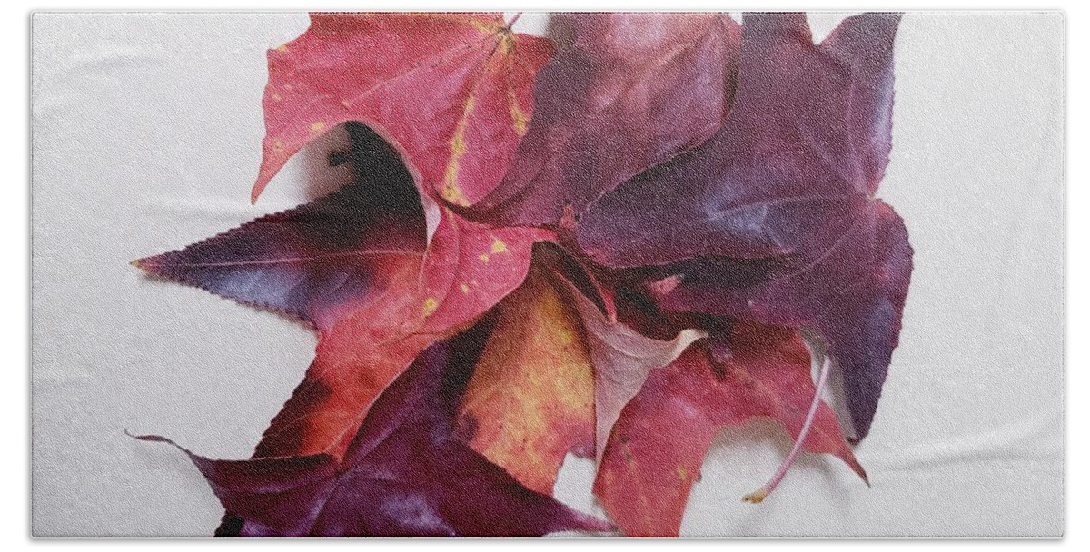 Leaves From My Evening Walk Beach Towel featuring the painting The Splendor of Autumn Leaves by Margaret Welsh Willowsilk