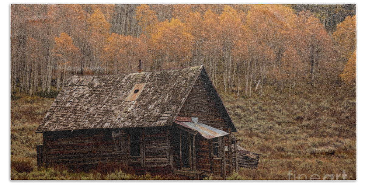 Colorado Beach Towel featuring the photograph Autumn On Fire by Doug Sturgess