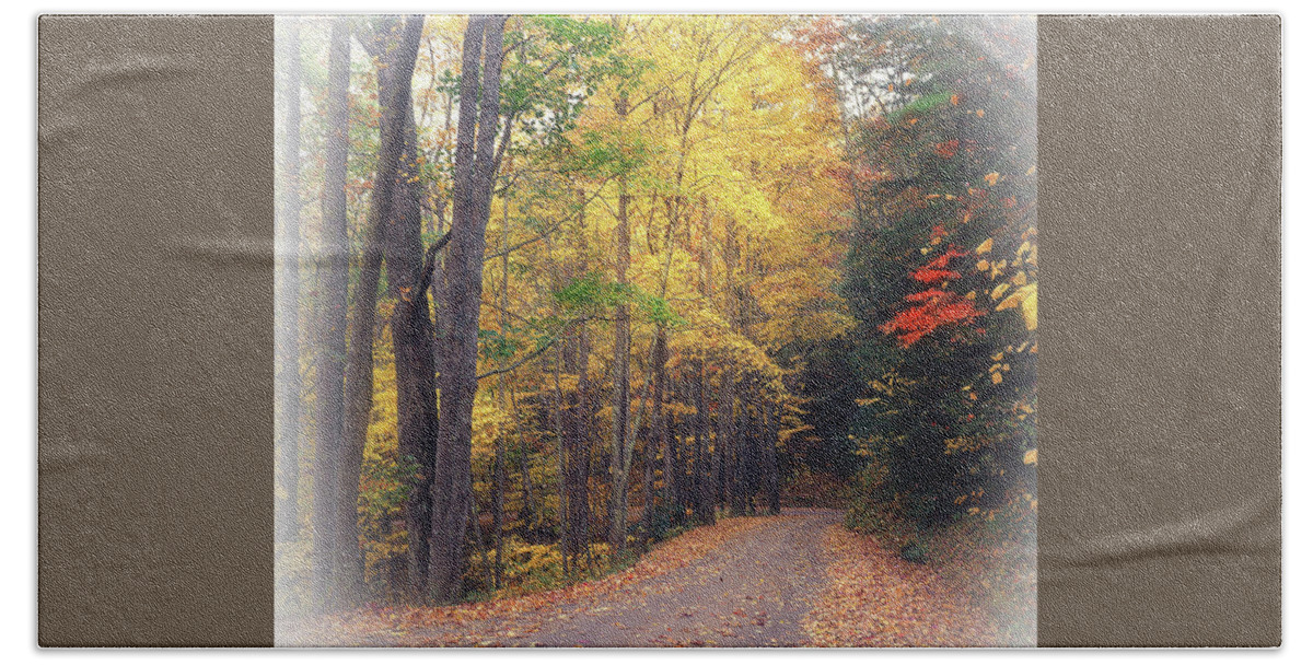 Road Beach Towel featuring the photograph Autumn Road to Cataloochee by James C Richardson