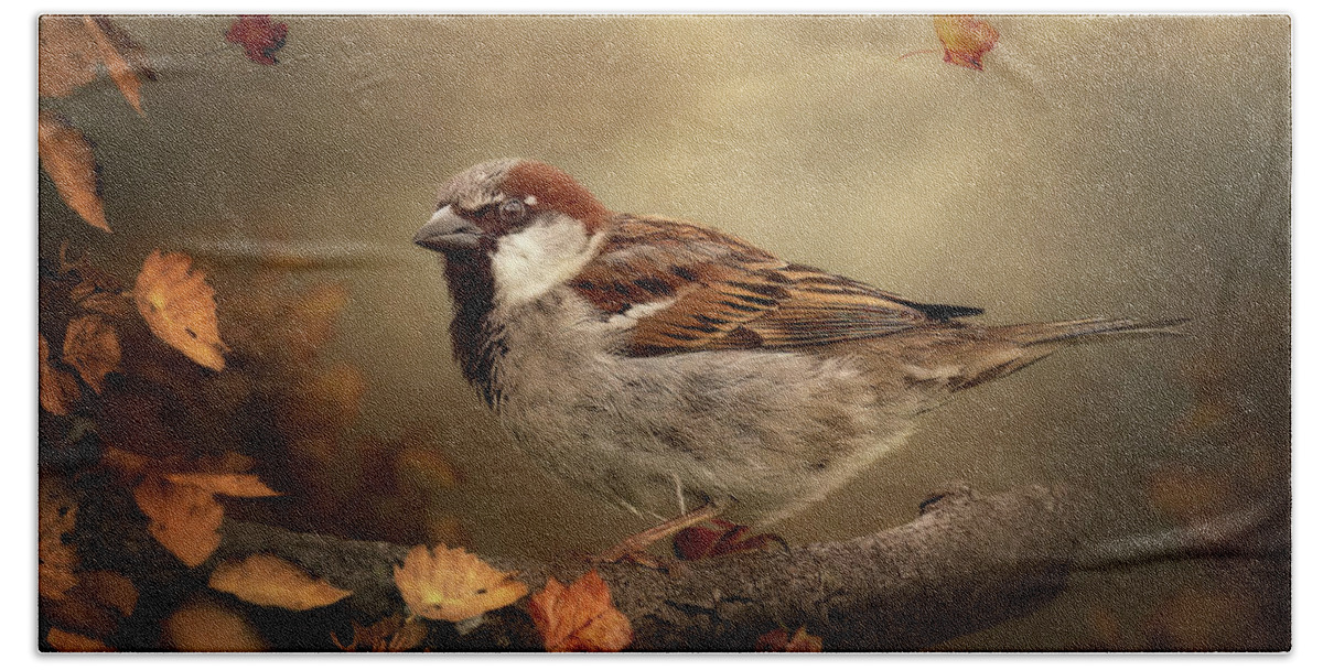 Sparrow Beach Towel featuring the digital art Autumn Sparrow by Maggy Pease