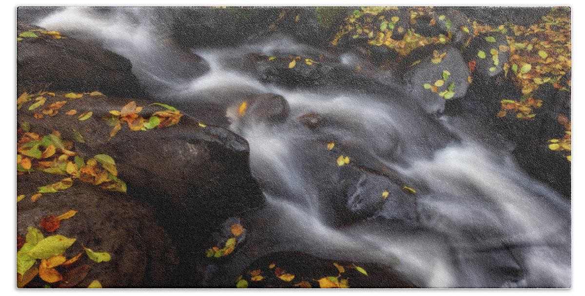Fall Beach Towel featuring the photograph Autumn Stream by Darren White