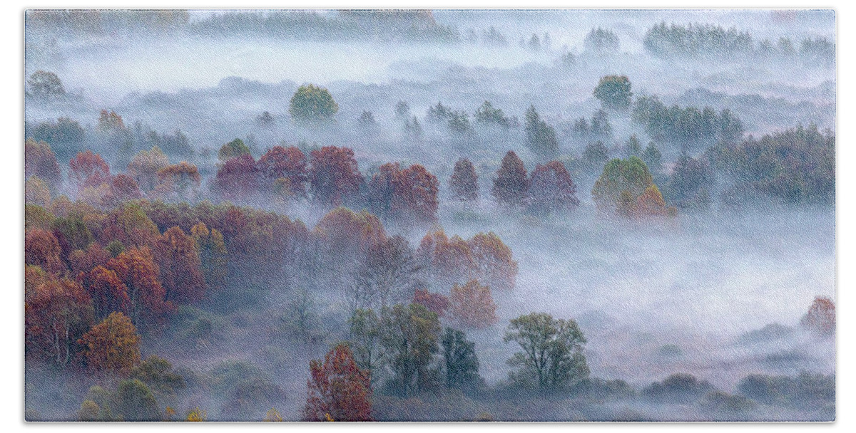 Tree Beach Towel featuring the photograph Autumn trees in the morning by Pietro Ebner