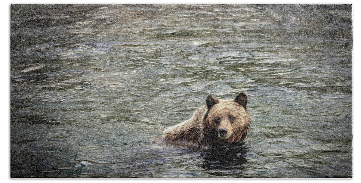Bear Beach Towel featuring the photograph Baby Bear by Craig J Satterlee