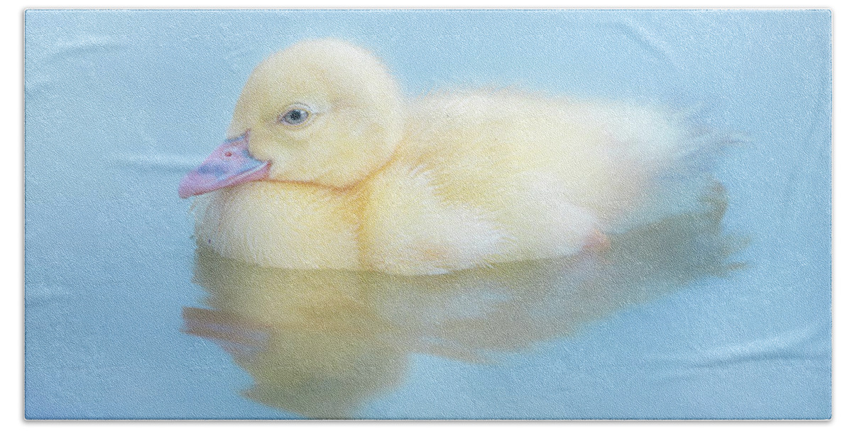 Yellow Duckling Beach Towel featuring the photograph Baby Duckling by Jordan Hill