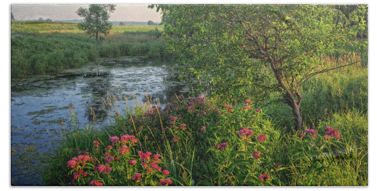 Water Beach Sheet featuring the photograph Backwater - Swamp Milkweed by Bruce Morrison