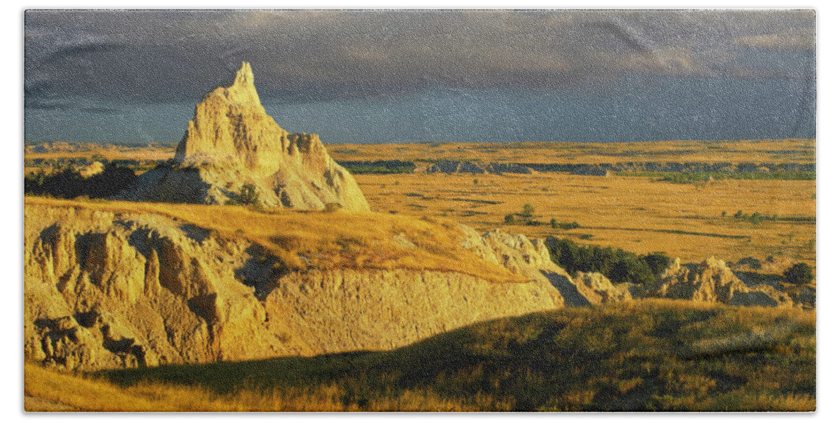 00175613 Beach Towel featuring the photograph Badlands Mule Deer by Tim Fitzharris