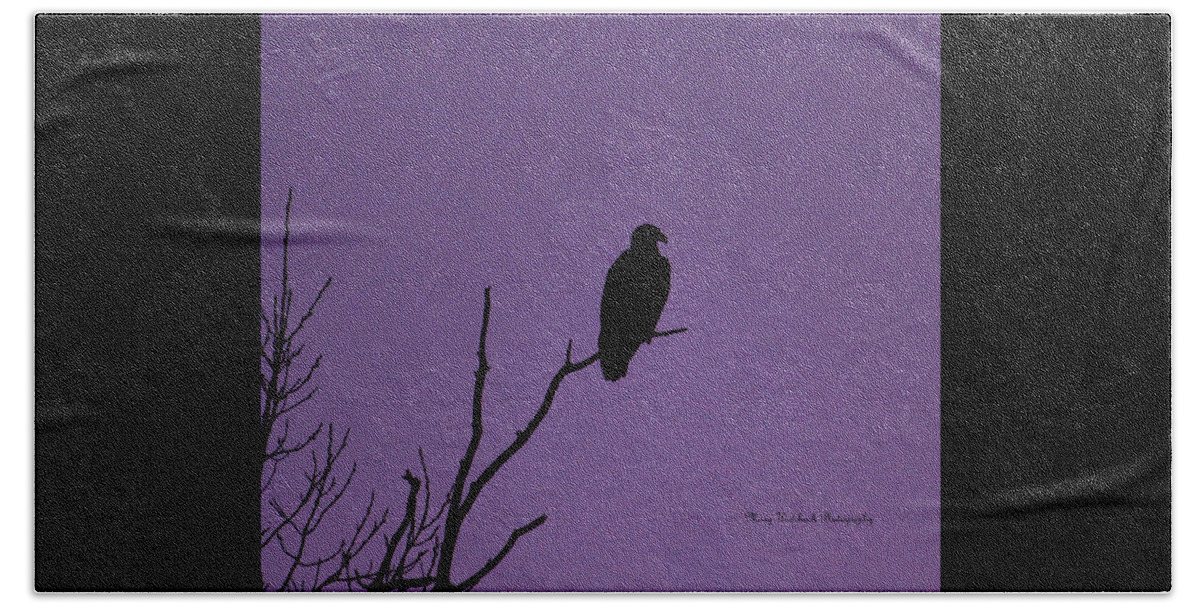 Eagle Beach Towel featuring the photograph Bald Eagle in Silhouette by Mary Walchuck