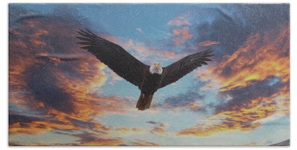 Alaska Beach Towel featuring the photograph Bald Eagle Looking at Sunset by Darryl Brooks
