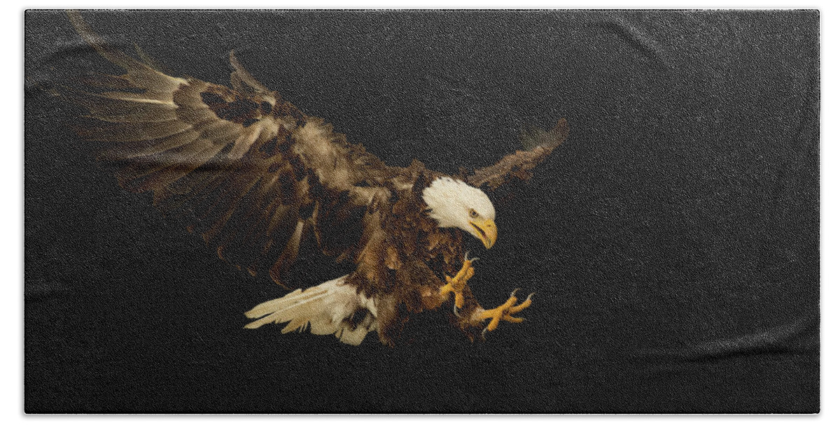 Accipitridae Beach Towel featuring the photograph Bald Eagle On Black by CR Courson