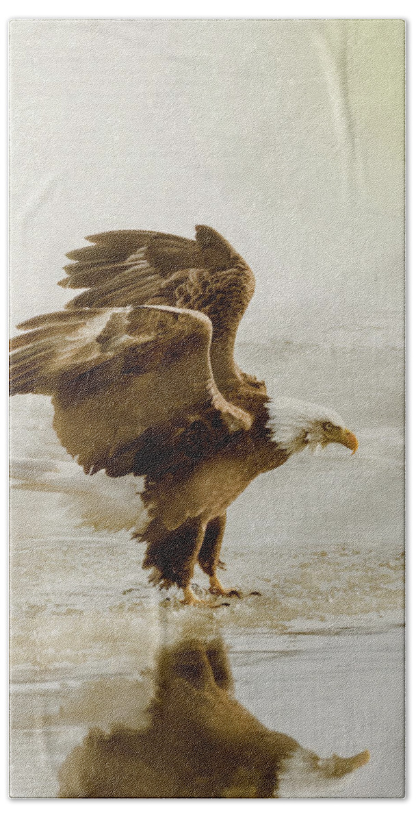 Bird Beach Towel featuring the photograph Bald Eagle Series #2 Eagle Has Landed by Patti Deters