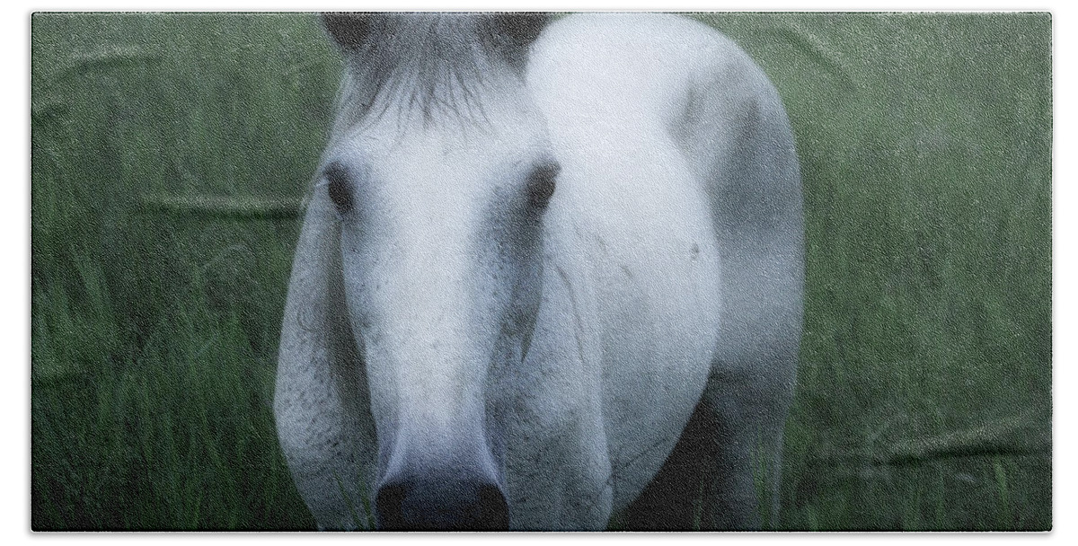 Hacienda Bambusa Horse Beach Towel featuring the photograph Bambusa Horse - Colombia by Gene Taylor