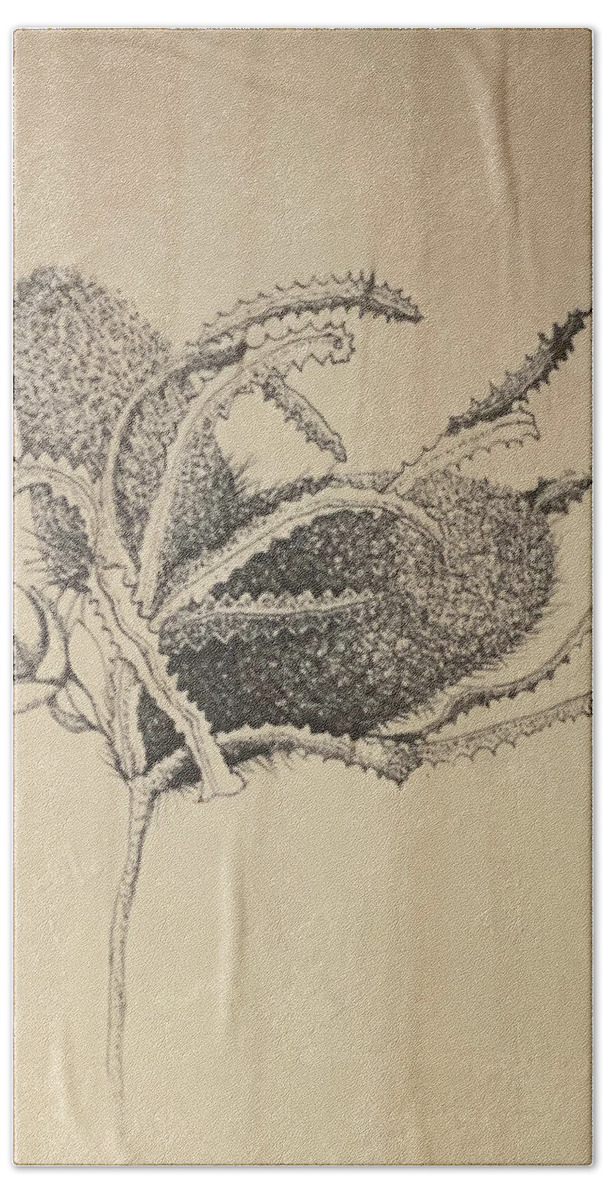 Ink Beach Towel featuring the drawing Banksia by Franci Hepburn