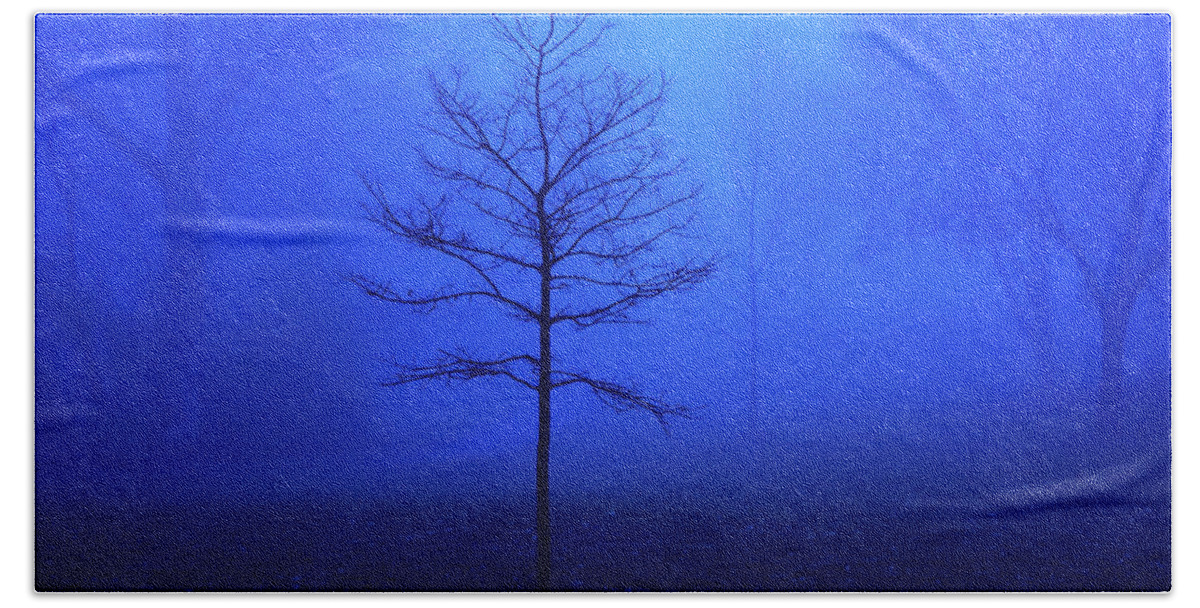 Blue Beach Towel featuring the photograph Bare Tree on a Foggy Morning by David Morehead