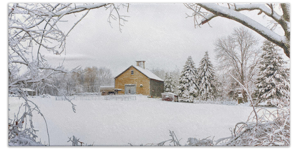 Landscape Beach Sheet featuring the photograph Barn Framed by Trees in Snow by Betty Denise